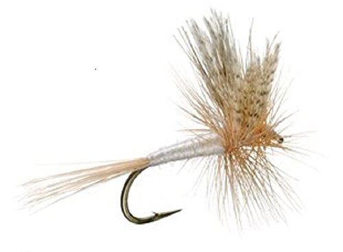 Light Cahill Classic Trout Dry Fly Fishing Fly - 6 Flies Size 14
