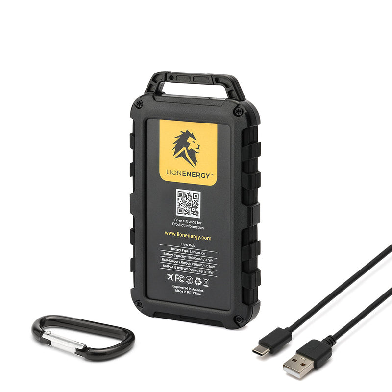 Load image into Gallery viewer, Lion Cub
