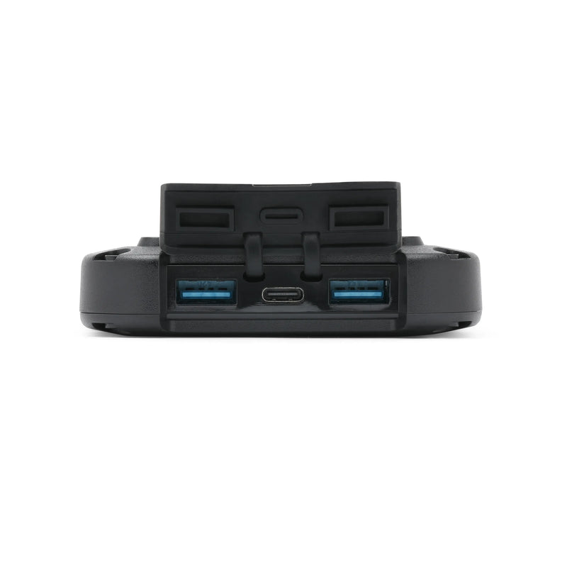 Load image into Gallery viewer, Lion Cub
