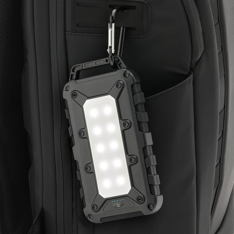 Load image into Gallery viewer, Lion Cub
