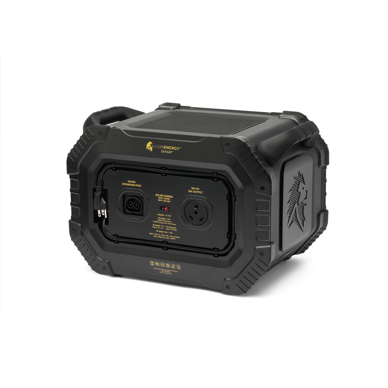 Load image into Gallery viewer, Lion Safari
