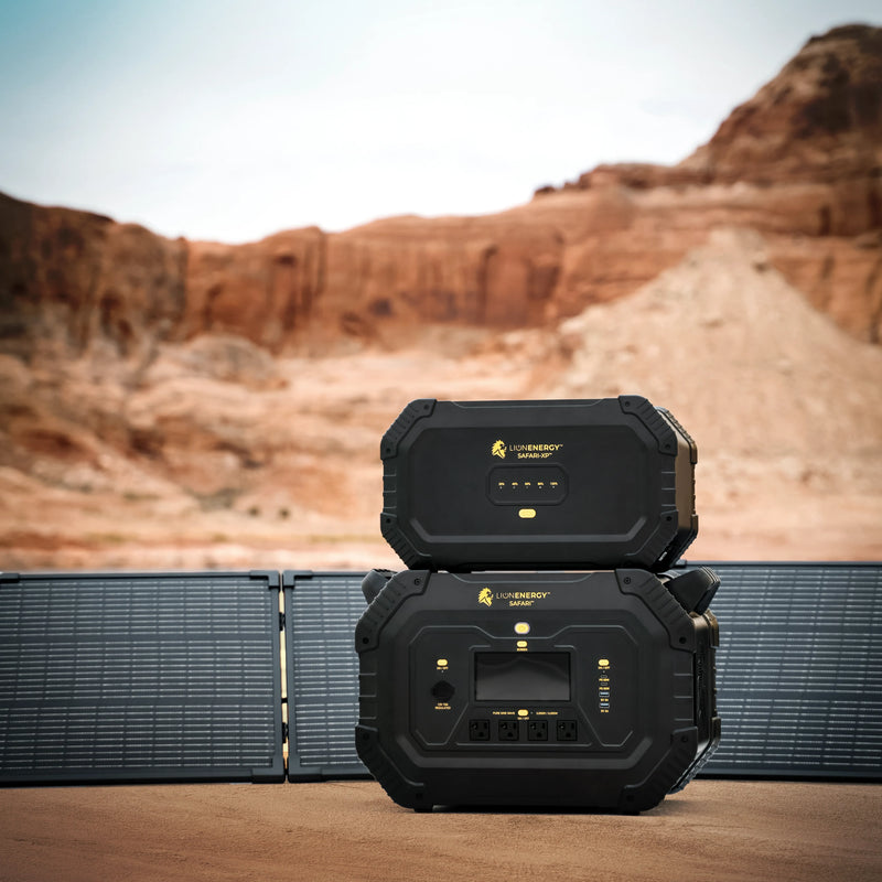 Load image into Gallery viewer, Lion Safari
