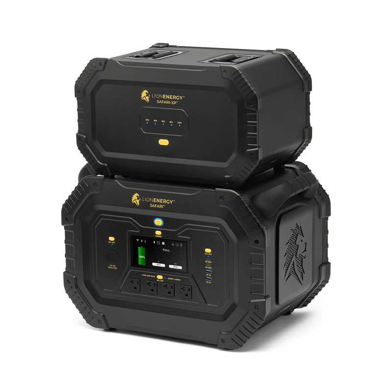 Load image into Gallery viewer, Lion Safari
