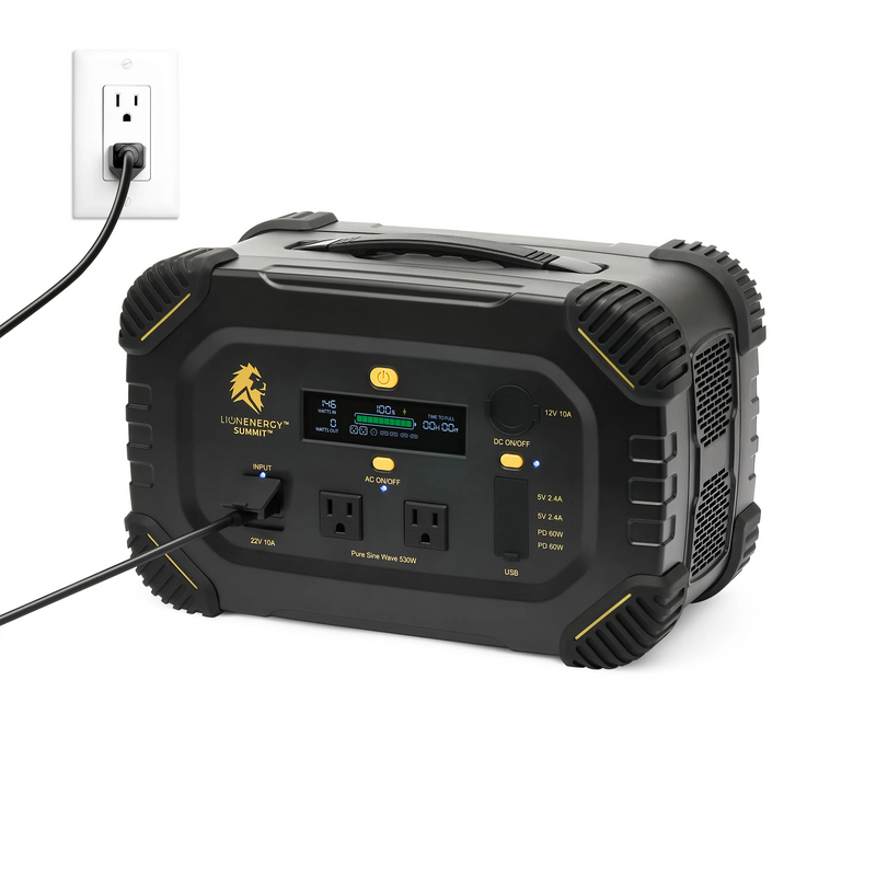 Load image into Gallery viewer, Lion Summit
