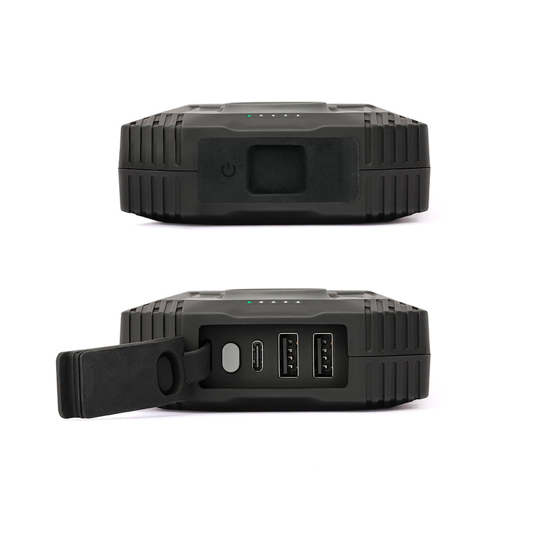 Load image into Gallery viewer, Lion Eclipse Mag
