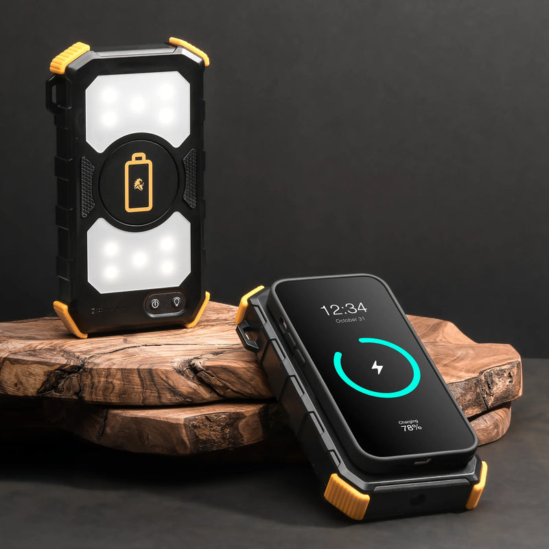 Load image into Gallery viewer, Lion Prowler
