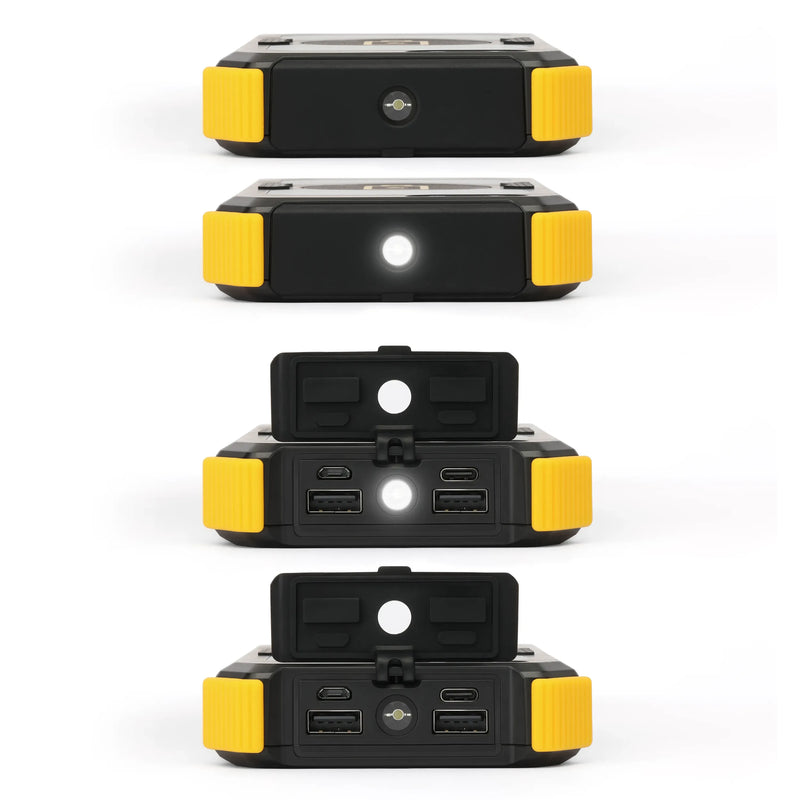 Load image into Gallery viewer, Lion Prowler
