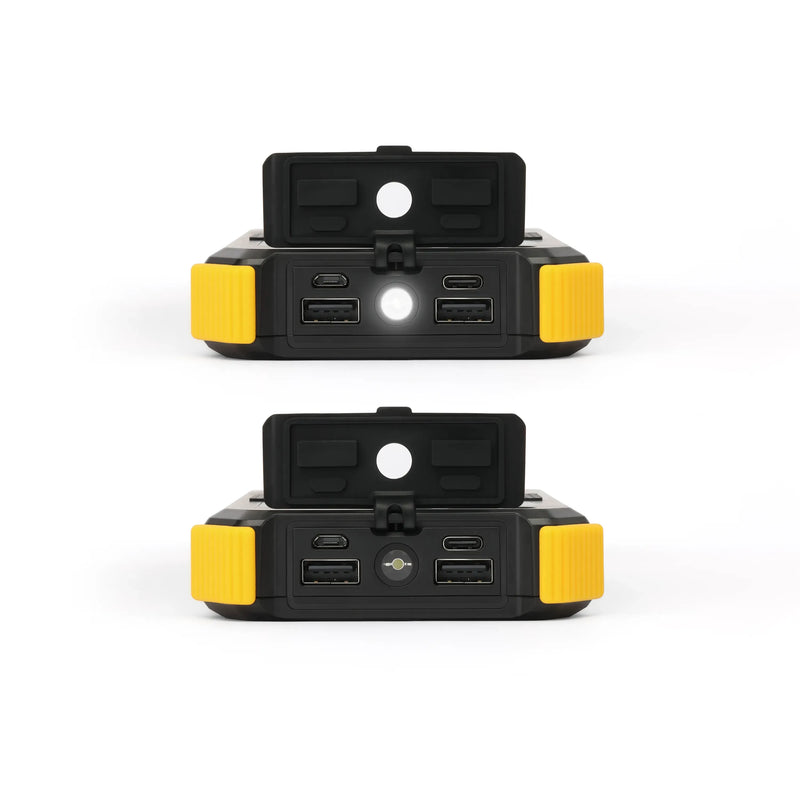 Load image into Gallery viewer, Lion Prowler
