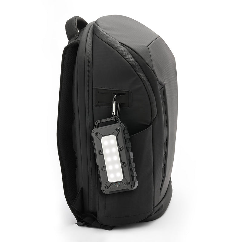 Load image into Gallery viewer, Lion Cub
