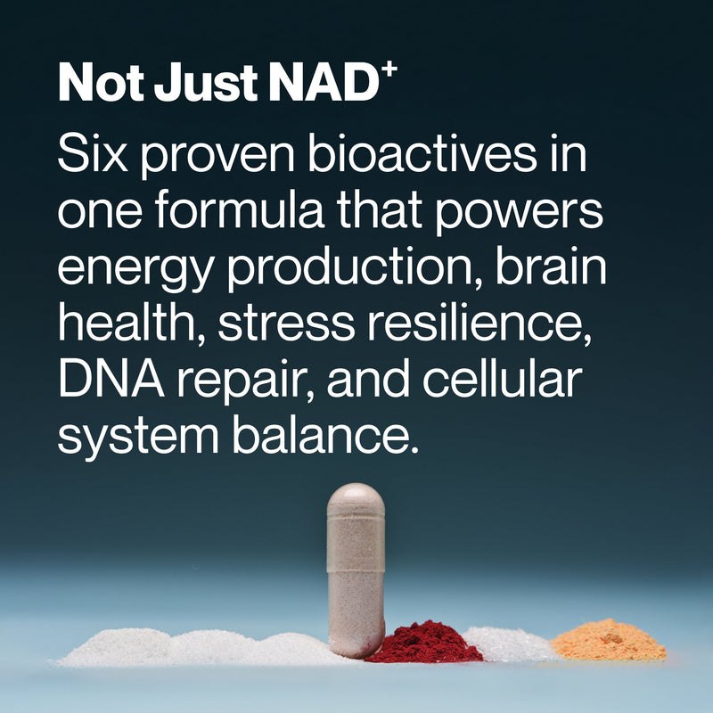 Load image into Gallery viewer, Longevity
