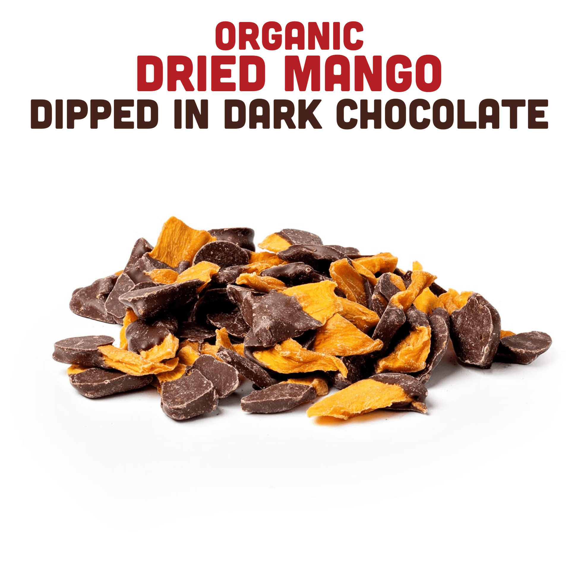 Organic Dried Mango Dipped in Dark Chocolate - Skoutley Outdoors LLC