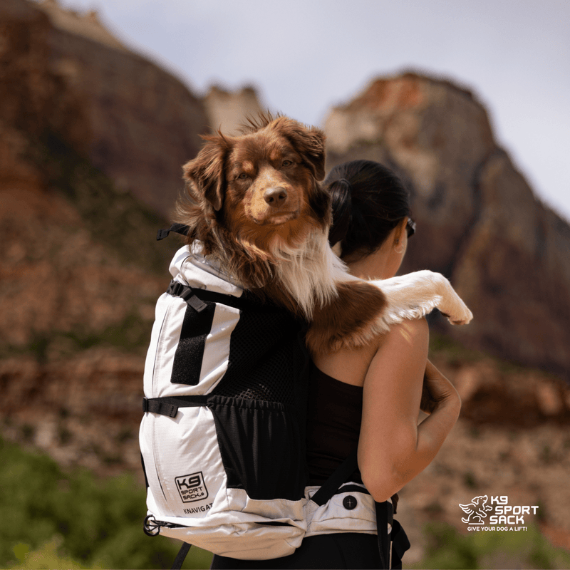 Load image into Gallery viewer, Knavigate | Advanced Dog Carrier with Internal Frame &amp; Hip Belt
