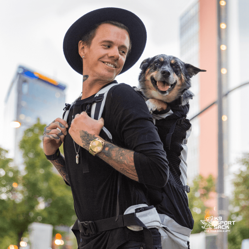 Load image into Gallery viewer, Knavigate | Advanced Dog Carrier with Internal Frame &amp; Hip Belt
