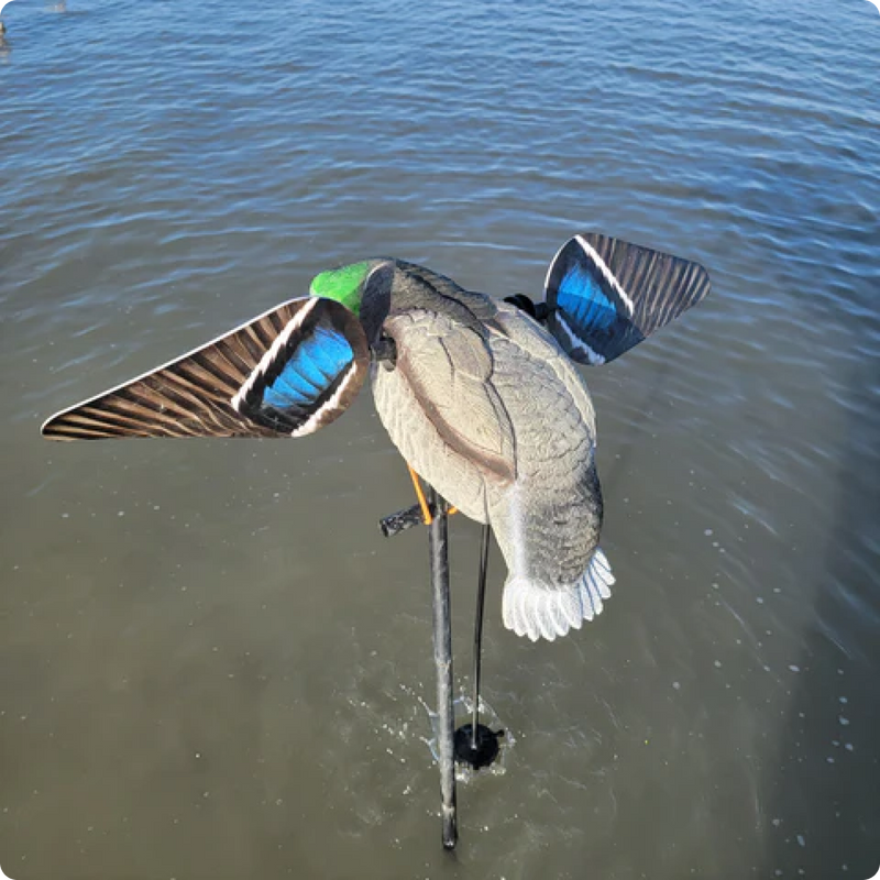 Load image into Gallery viewer, Animator V2 for Super Lucky Duck
