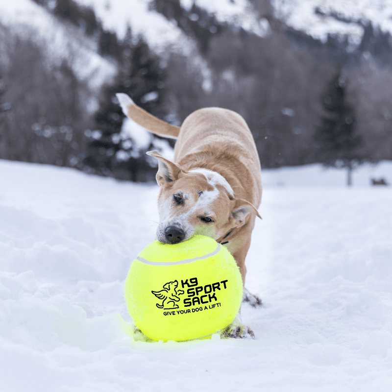 Load image into Gallery viewer, Too Big to Chew Tennis Ball
