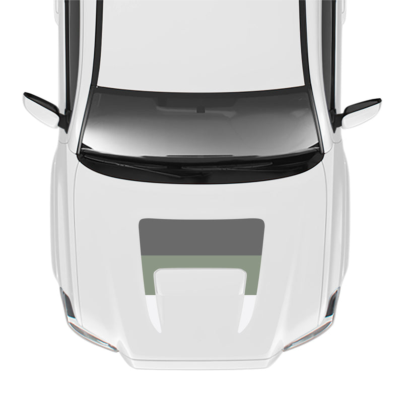 Load image into Gallery viewer, 2016-23 Tacoma Sport/Pro Hood Stamp
