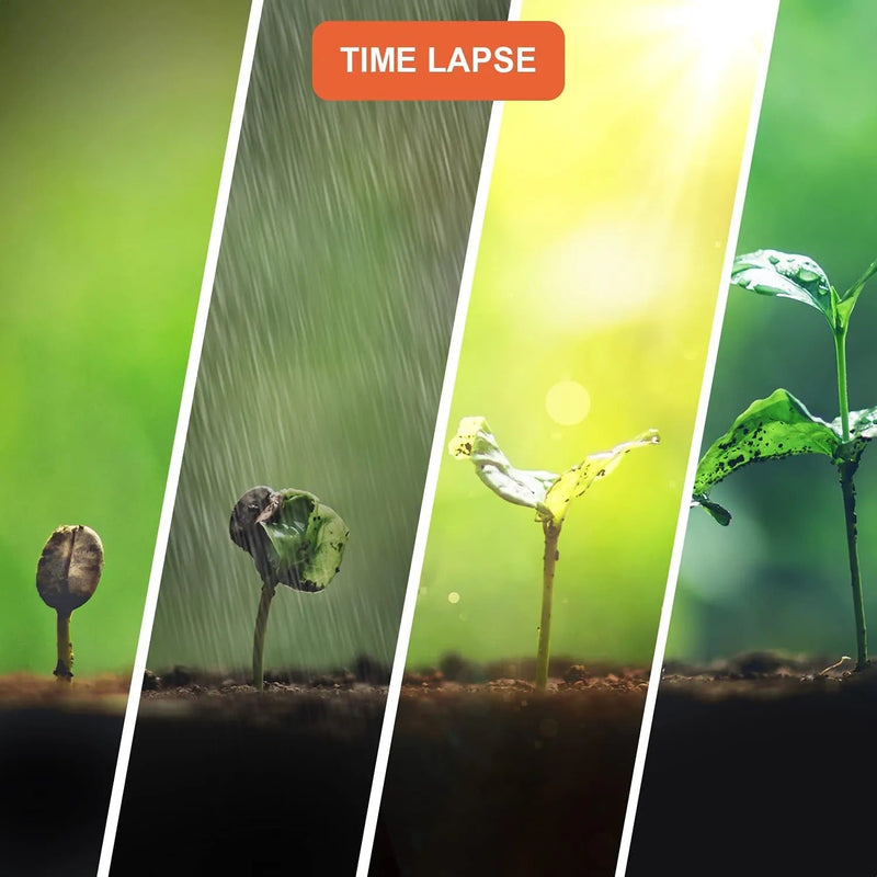 Load image into Gallery viewer, Rexing TL1 Time-Lapse Camera 1920×1080 Full HD
