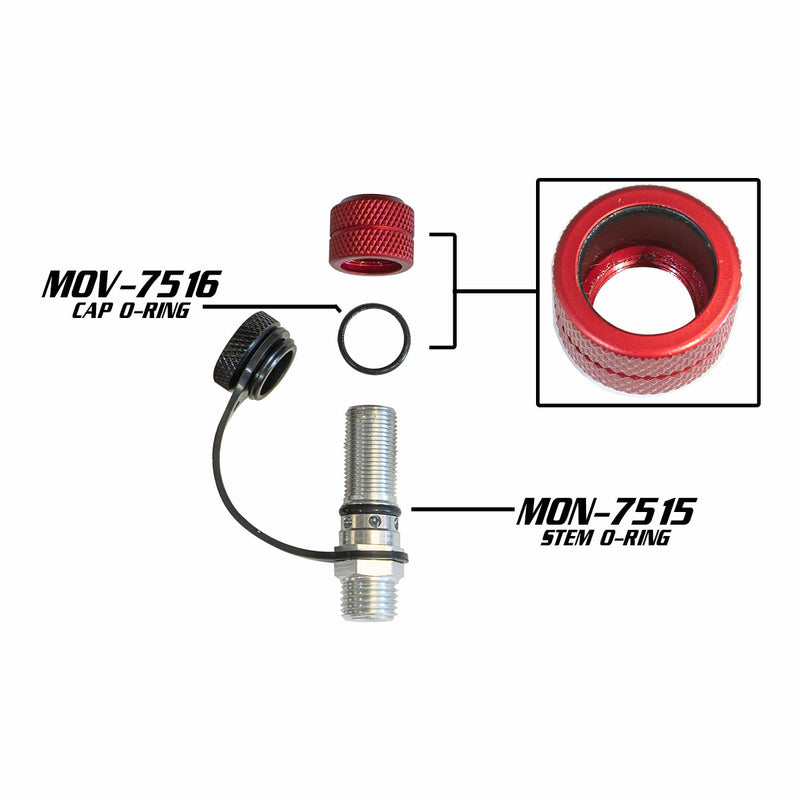 Load image into Gallery viewer, Monster Valve™ Rebuild Kit (x5)
