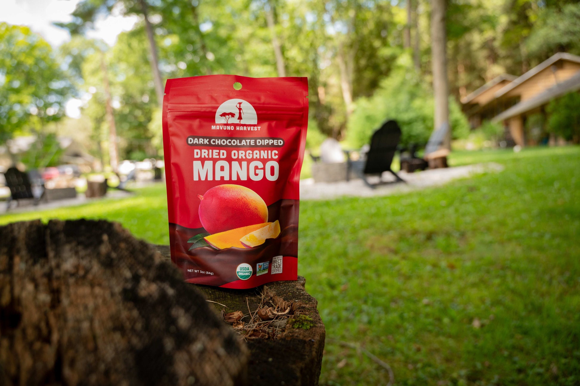 Organic Dried Mango Dipped in Dark Chocolate - Skoutley Outdoors LLC