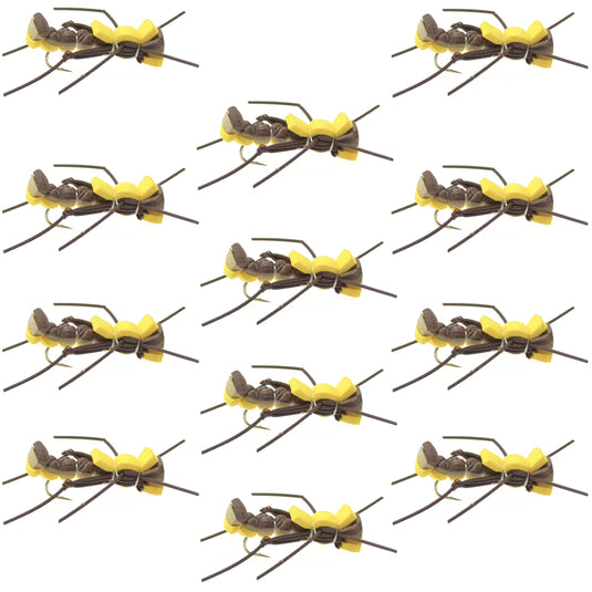 Mantis BLT Foam Body Grasshopper Fly - 1 Dozen Flies Hook Size 10