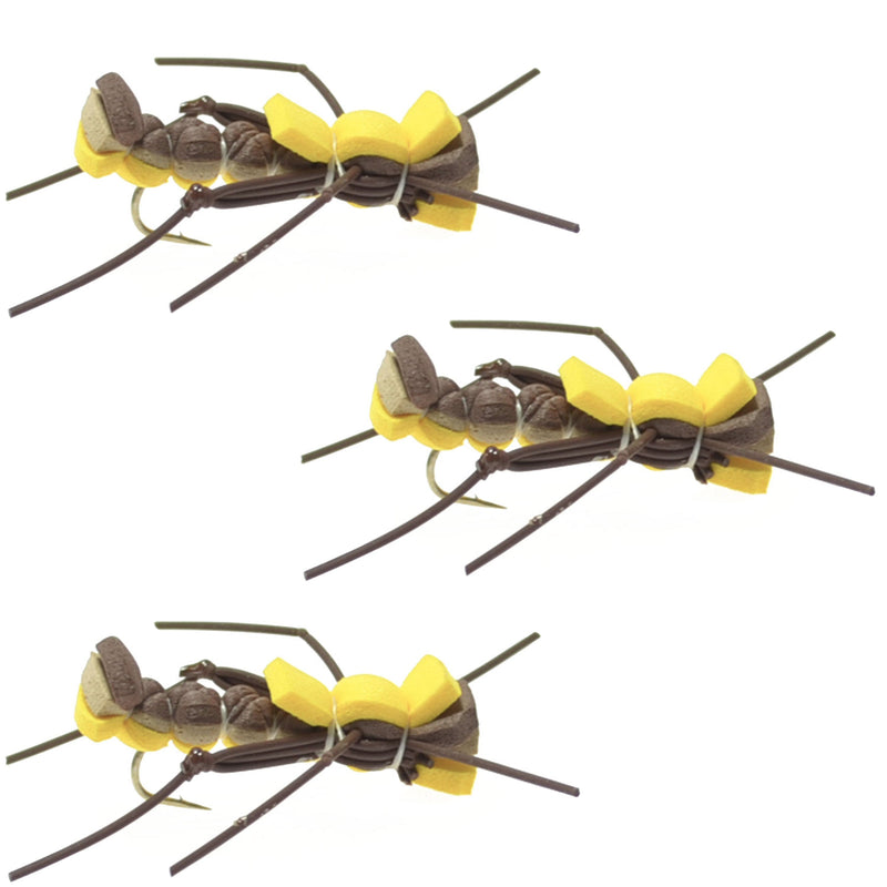 Load image into Gallery viewer, 3 Pack Mantis BLT Foam Body Grasshopper Fly - Hook Size 10
