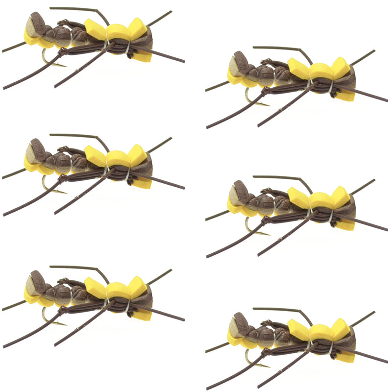 Load image into Gallery viewer, Mantis BLT Foam Body Grasshopper Fly - 6 Flies Hook Size 10
