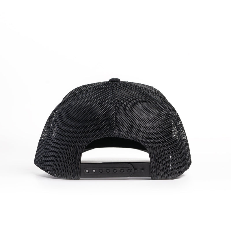 Load image into Gallery viewer, Walleye Patch Hat
