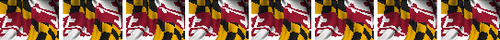MARYLAND FLAG REFLECTIVE HELMET TRIM