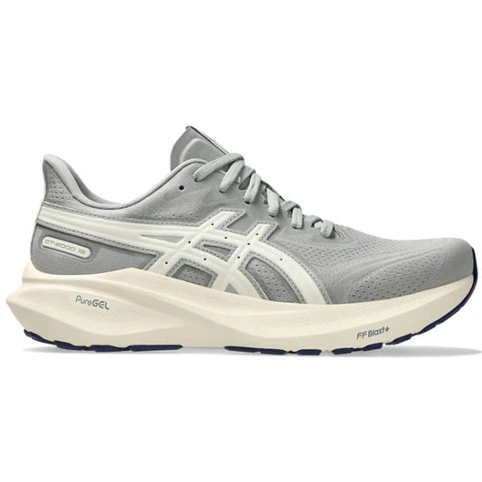 Men's Asics GT-2000 13, Seal Grey/Birch, 10 D Medium - Skoutley Outdoors LLC