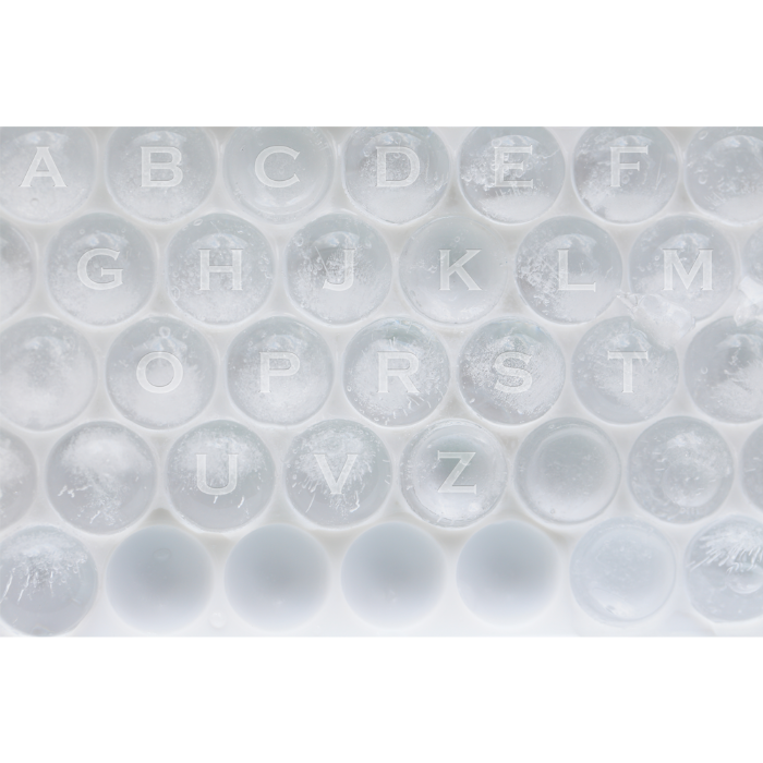Load image into Gallery viewer, Monogrammed Whiskey Balls
