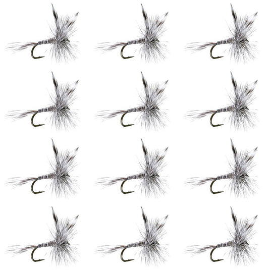 Mosquito Classic Trout Dry Fly Fishing Flies - 1 Dozen Size 14