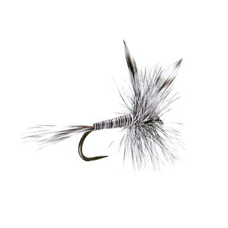 Load image into Gallery viewer, Barbless Mosquito Classic Trout Dry Fly Fishing 1 Dozen Flies - Hook Size 16
