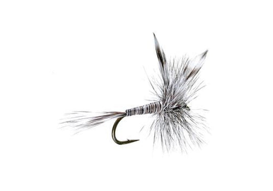 Basics Collection - Classic Dry Fly Assortment - 10 Flies - Sizes 12-16