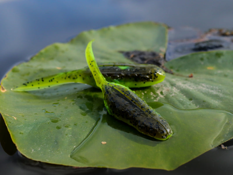 Load image into Gallery viewer, Froglet

