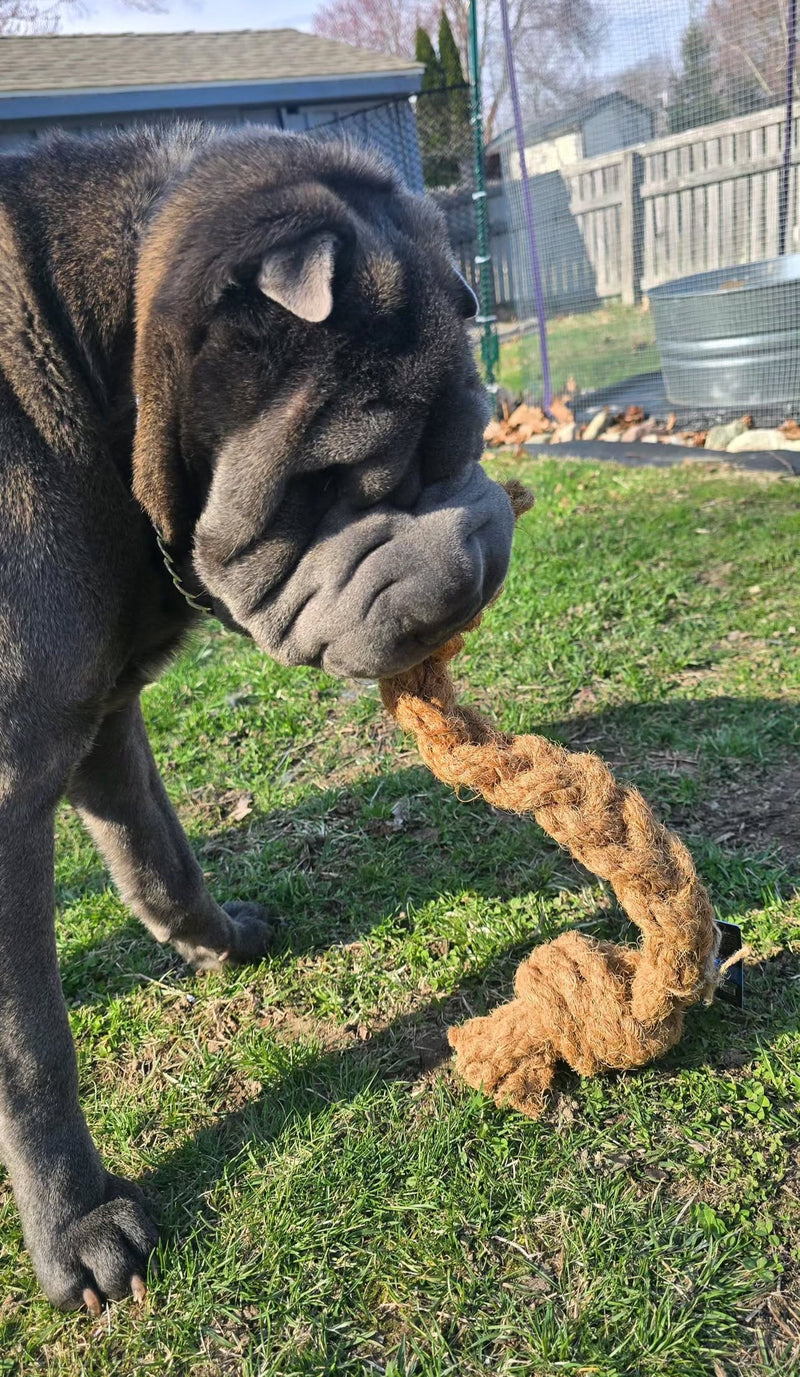 Load image into Gallery viewer, Coconut Rope Tug
