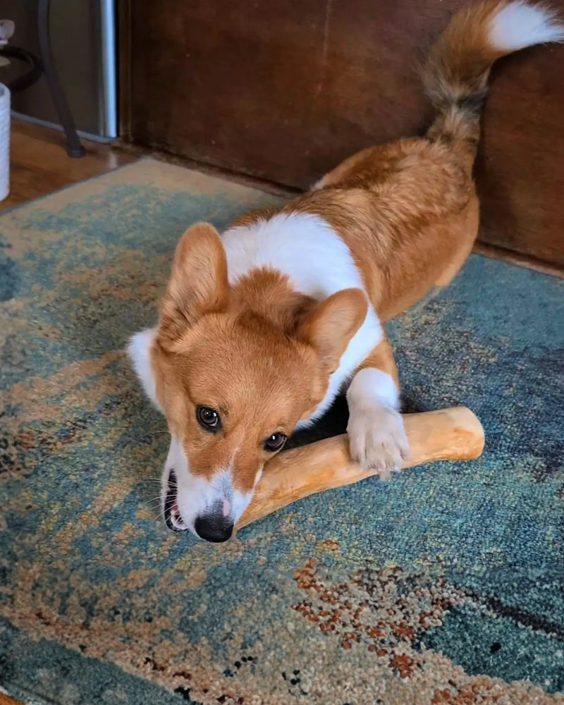 Load image into Gallery viewer, Original Chew
