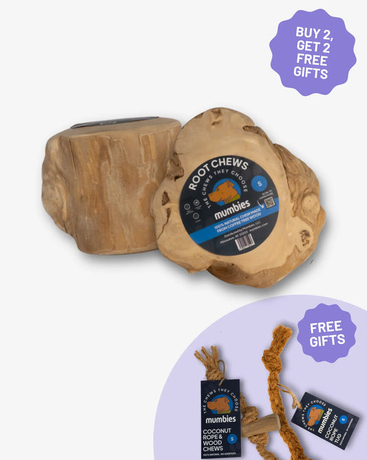 Root Chew