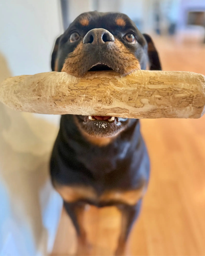 Load image into Gallery viewer, Original Chew
