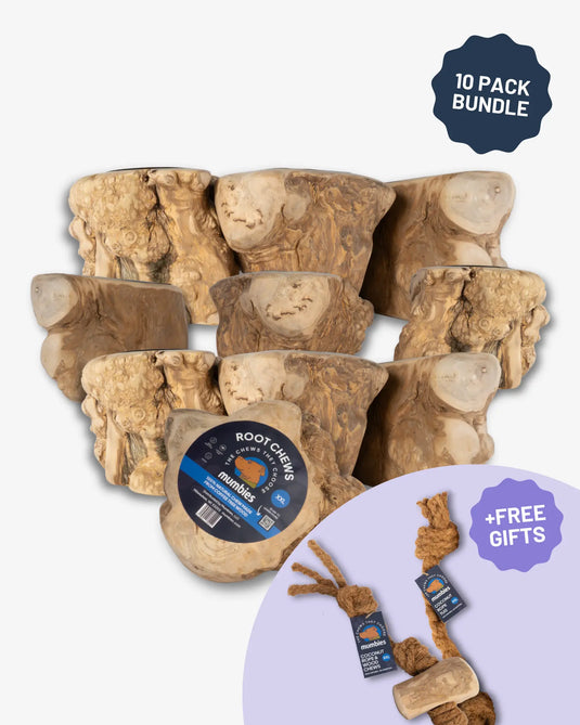 Root Chew