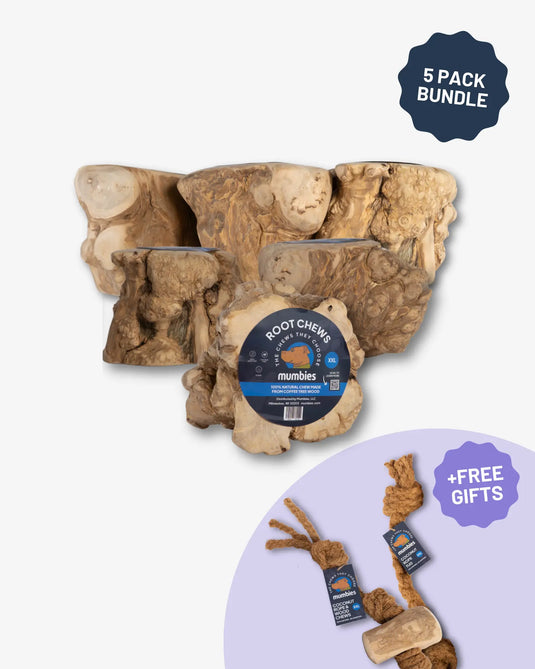 Root Chew
