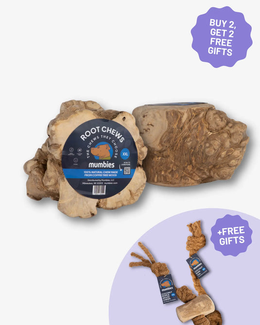 Root Chew