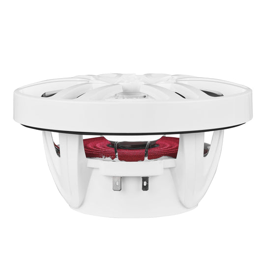 NXL 6.5" 2-Way Coaxial Marine Speaker With LED RGB Lights | 100W RMS 4-Ohm