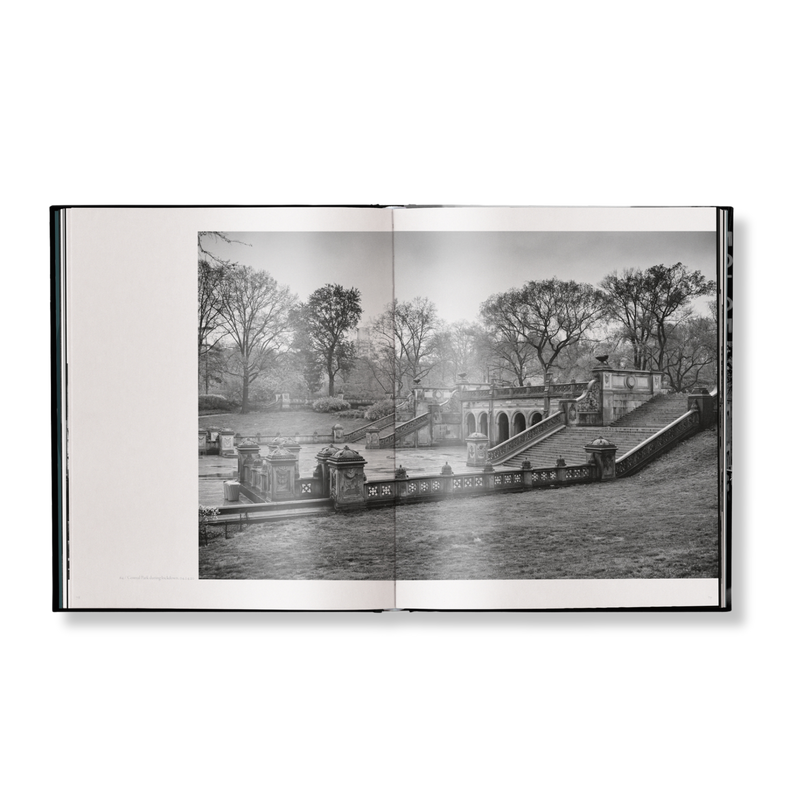 Load image into Gallery viewer, New York Street Diaries
