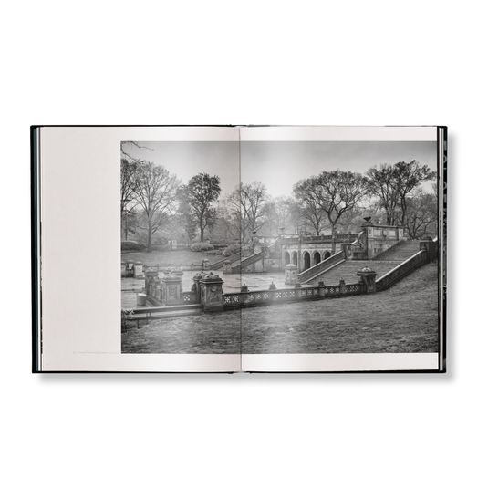 New York Street Diaries