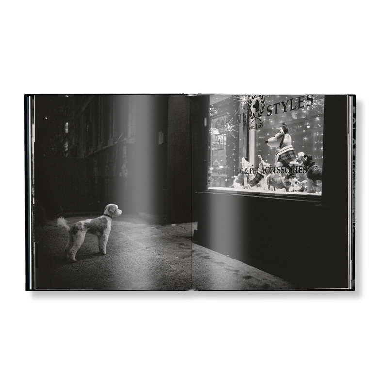 Load image into Gallery viewer, New York Street Diaries
