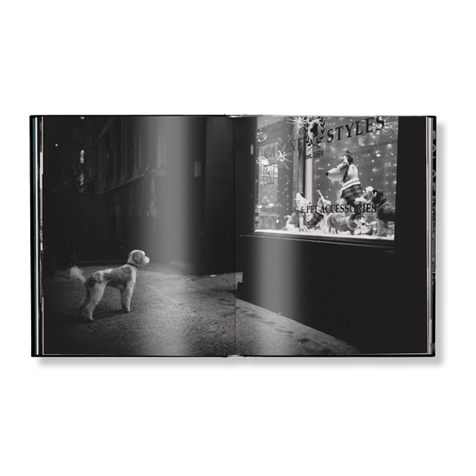 New York Street Diaries