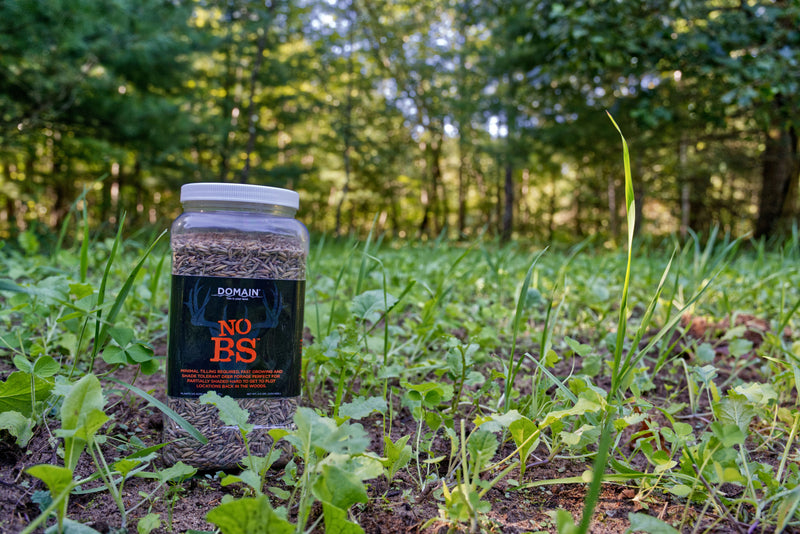 Load image into Gallery viewer, No BS™ Food Plot Seed
