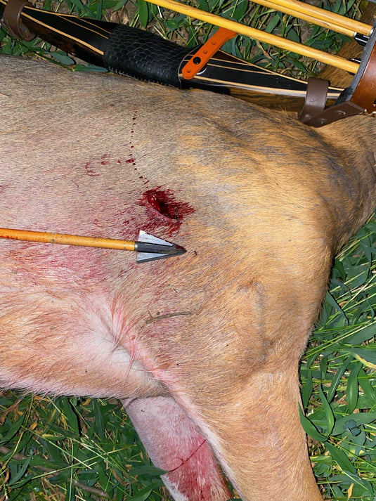 VPA Omega Broadhead
