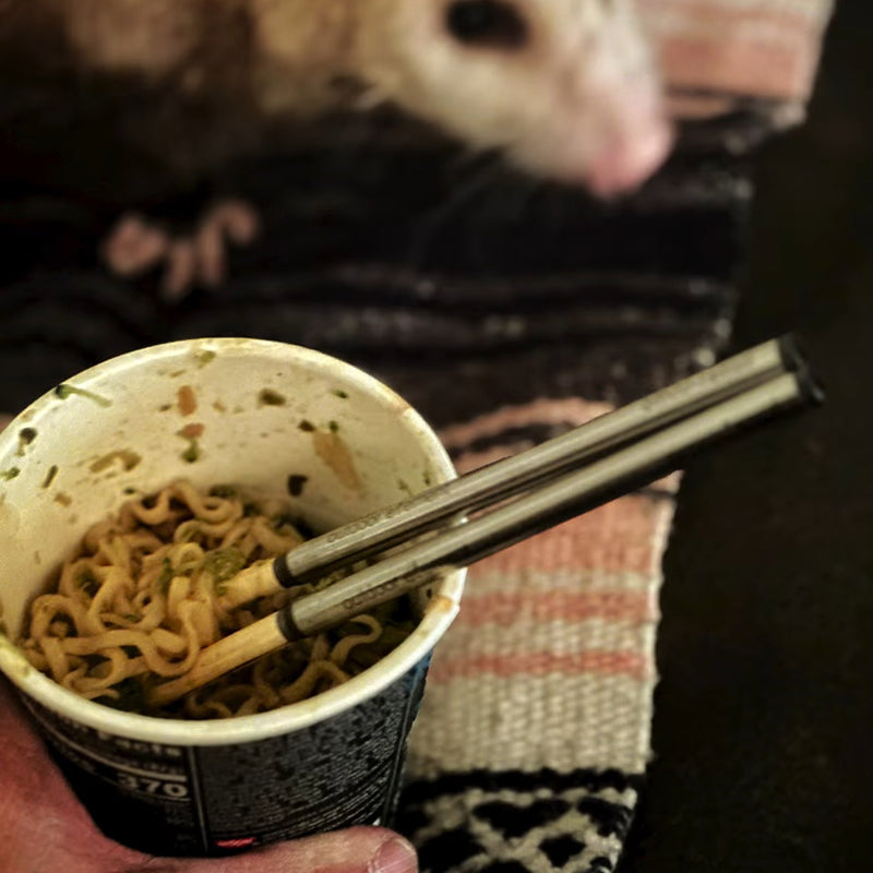 Load image into Gallery viewer, Outdoor Element Omni-Tensil
