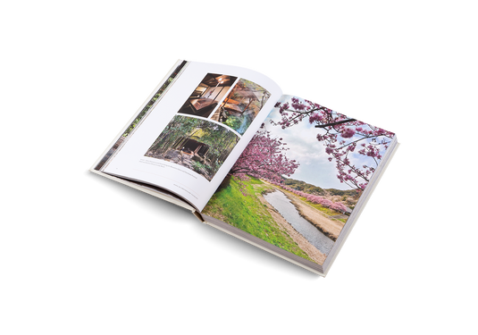 Onsen and Ryokan of Japan